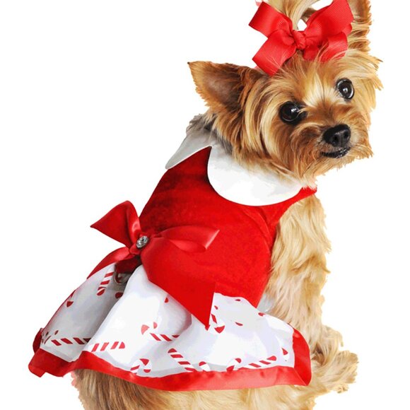 Holiday Christmas Candy Cane Dress & Lead - Size Small - NEW - Picture 1 of 5